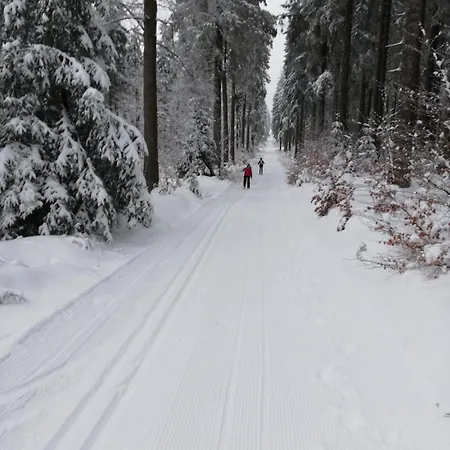 12 45qm Bis 3 Pers Nahe Winterberg