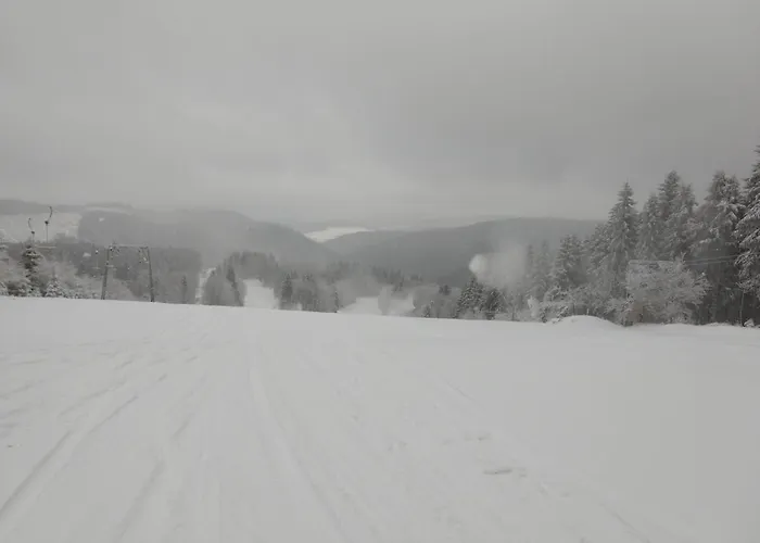 Appartement 12 45qm Bis 3 Pers Nahe Winterberg *