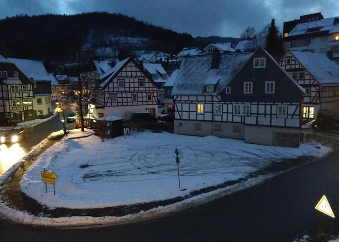 Appartement 12 45qm Bis 3 Pers Nahe Winterberg *