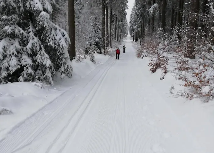 12 45qm Bis 3 Pers Nahe Winterberg