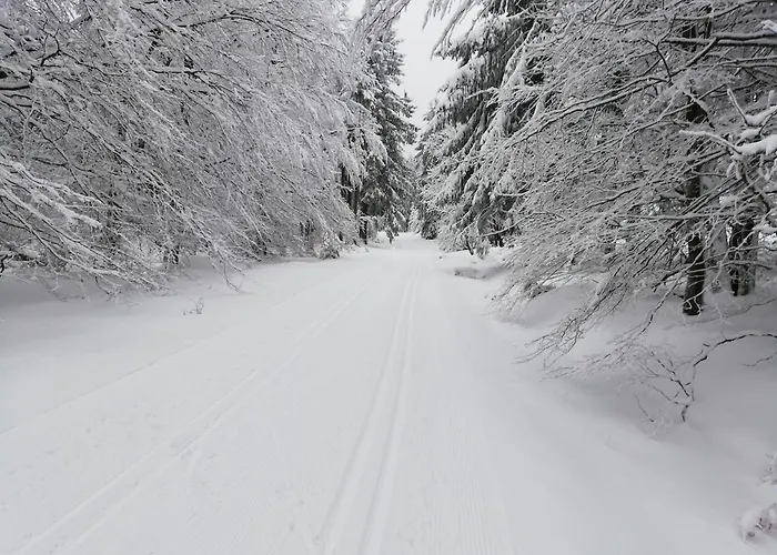 12 45qm Bis 3 Pers Nahe Winterberg Appartement *