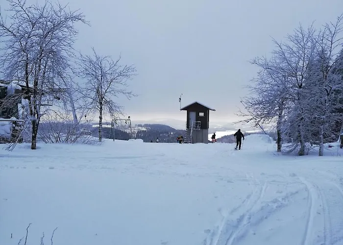 Appartement 12 45qm Bis 3 Pers Nahe Winterberg *