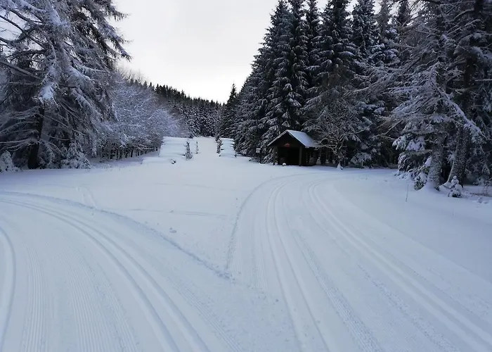 12 45qm Bis 3 Pers Nahe Winterberg Appartement *