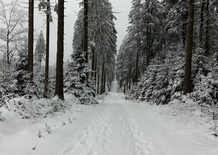 12 45qm Bis 3 Pers Nahe Winterberg * Schmallenberg
