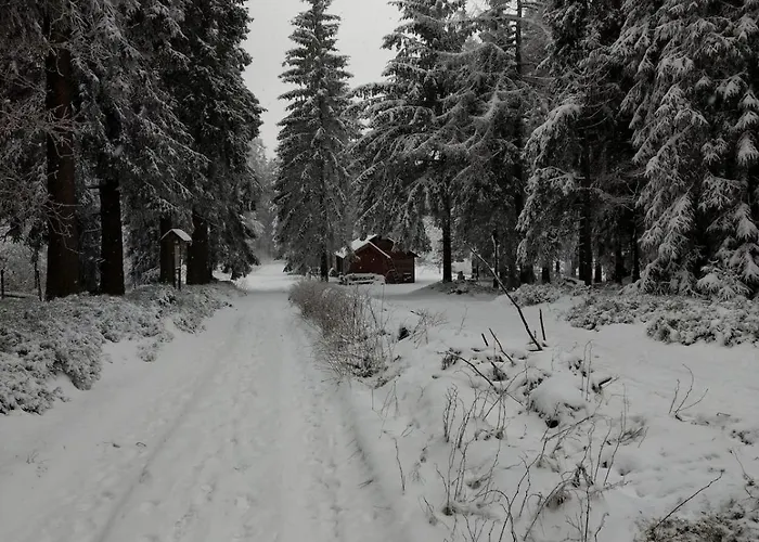 12 45qm Bis 3 Pers Nahe Winterberg Appartement